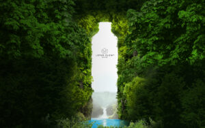 Lotus Glow Ionized Alkaline Water